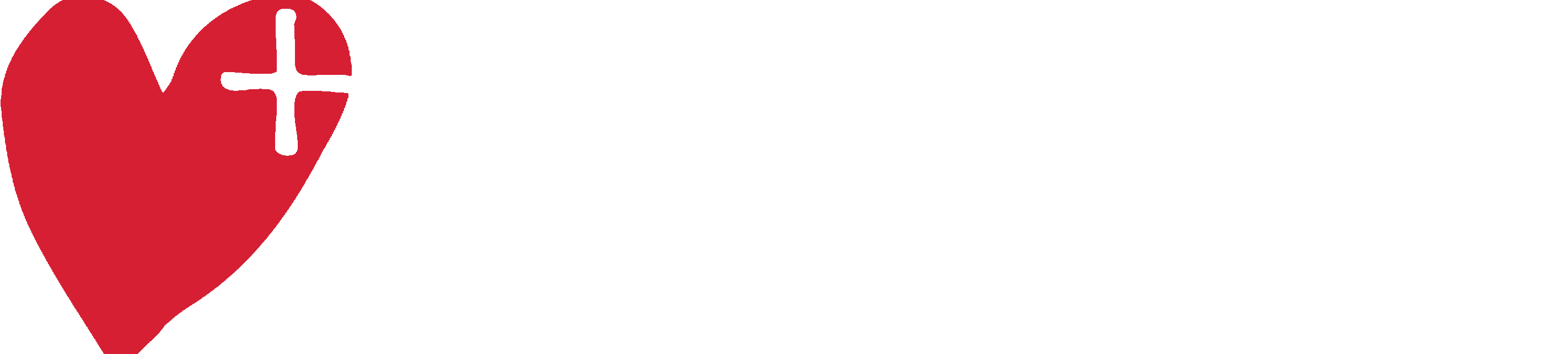 Swiss Alps Chalet